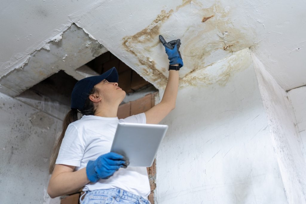 moisture damage assessment